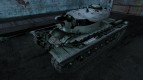 Skin for T29