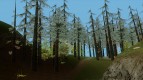Густой лес v2