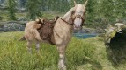 player horse