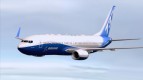 Boeing 737-800 Boeing House Colors