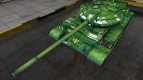 Remodeling for the Type 59 with a skin