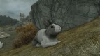 Summon Bunnies Mounts and Followers