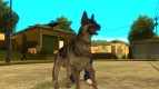 Dog in GTA San Andreas