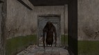 Мутанты из S.T.A.L.K.E.R