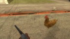 Chicken patrol
