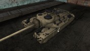 Skin for T95