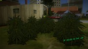 Cannabis para GTA Vice City miniatura 1