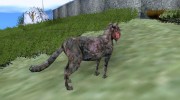 Кот из S.T.A.L.K.E.R! para GTA San Andreas miniatura 4