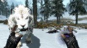 Summon Big Cats Mounts and Followers 2.2 for TES V: Skyrim miniature 19