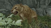 Summon Big Cats Mounts and Followers for TES V: Skyrim miniature 10
