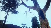 INSANITY Vegetaton Update 1.0 Light версия для GTA San Andreas миниатюра 3