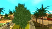 Совершенная растительность v.2 para GTA San Andreas miniatura 5