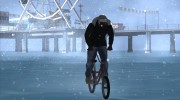 Winter Pack (Low PC)  миниатюра 7