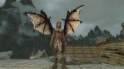 Wearable Dragon Wings for TES V: Skyrim miniature 1