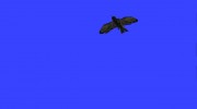 Crow mod for GTA San Andreas miniature 12
