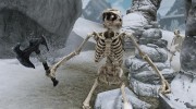 Beast Skeletons для TES V: Skyrim миниатюра 6