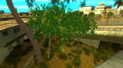 Совершенная растительность v.2 para GTA San Andreas miniatura 6