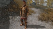 Hero of the Legion - A Unique Armor for Imperial Players для TES V: Skyrim миниатюра 1