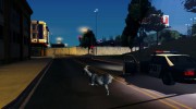 Играть за животных (Возможность из GTA V) para GTA San Andreas miniatura 15