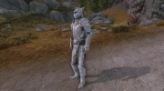 SPOA Silver Knight Armor para TES V: Skyrim miniatura 2