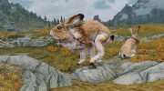 Replace Mammoths with Enormous Rabbits для TES V: Skyrim миниатюра 3
