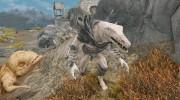 Summon Werewolf and Co - Mounts and Followers for TES V: Skyrim miniature 4