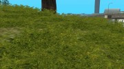Dream Grass (Low PC) для GTA San Andreas миниатюра 3