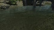 Pure Waters for TES V: Skyrim miniature 4
