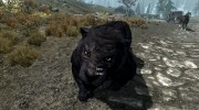 Summon Big Cats Mounts and Followers 2.2 for TES V: Skyrim miniature 13