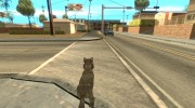 Animals in Los Santos для GTA San Andreas миниатюра 4