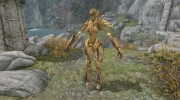 Summon Dwemer Mechanicals - Mounts and Followers for TES V: Skyrim miniature 9