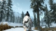 Summon Big Cats Mounts and Followers 2.2 for TES V: Skyrim miniature 20