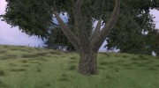 GTA 4 Vegetation для GTA San Andreas миниатюра 3