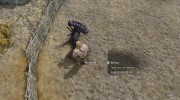 Summon Werewolf and Co - Mounts and Followers for TES V: Skyrim miniature 6
