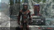 New Jester Armor - Dark Shrouded для TES V: Skyrim миниатюра 5