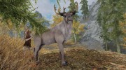 Summon Forest Mounts and Followers для TES V: Skyrim миниатюра 1