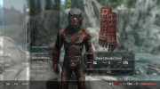 New Jester Armor - Dark Shrouded для TES V: Skyrim миниатюра 7