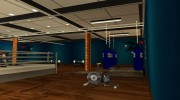 Fitnes and boxing + interior para GTA San Andreas miniatura 10