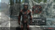 New Jester Armor - Dark Shrouded для TES V: Skyrim миниатюра 8