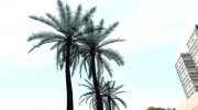GTA V Palm Trees v1 для GTA San Andreas миниатюра 1