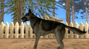 Пёс для GTA San Andreas миниатюра 2