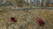 Chicken Death Beta для TES V: Skyrim миниатюра 1