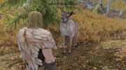 Summon Forest Mounts and Followers для TES V: Skyrim миниатюра 5
