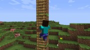 Animated Player for Minecraft miniature 7