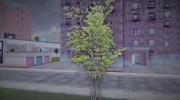 HD Trees для GTA 3 миниатюра 7