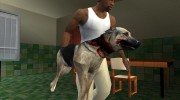 Собака (SH DP) para GTA San Andreas miniatura 2