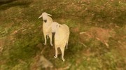 Одинокий пастух для GTA San Andreas миниатюра 3