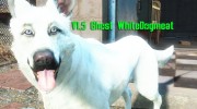 Белая собака «Призрак» para Fallout 4 miniatura 2