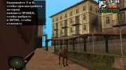 Слепой пес из S.T.A.L.K.E.R v.1 для GTA San Andreas миниатюра 1