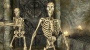 Beast Skeletons для TES V: Skyrim миниатюра 4